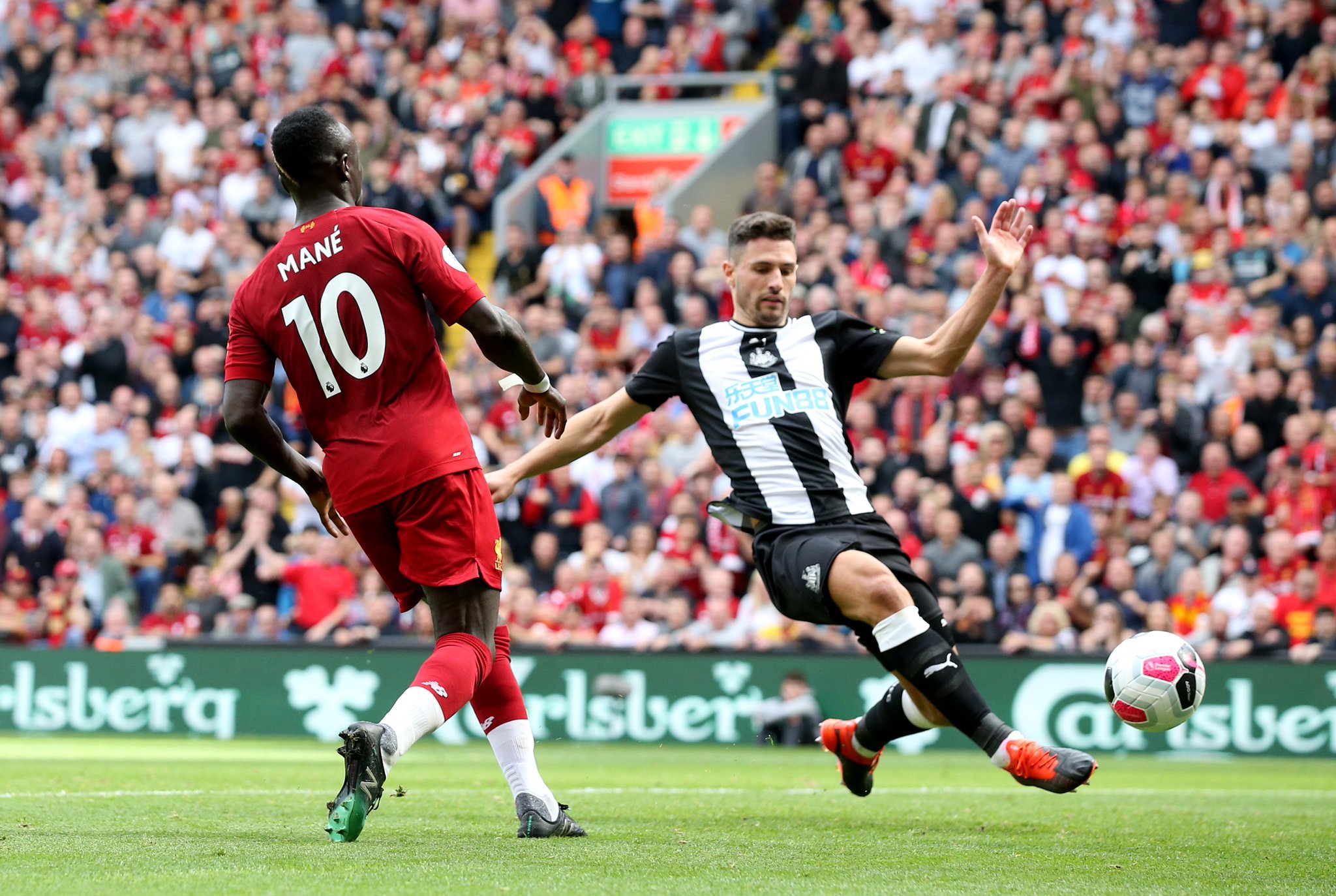 作为年轻门 作为年轻门