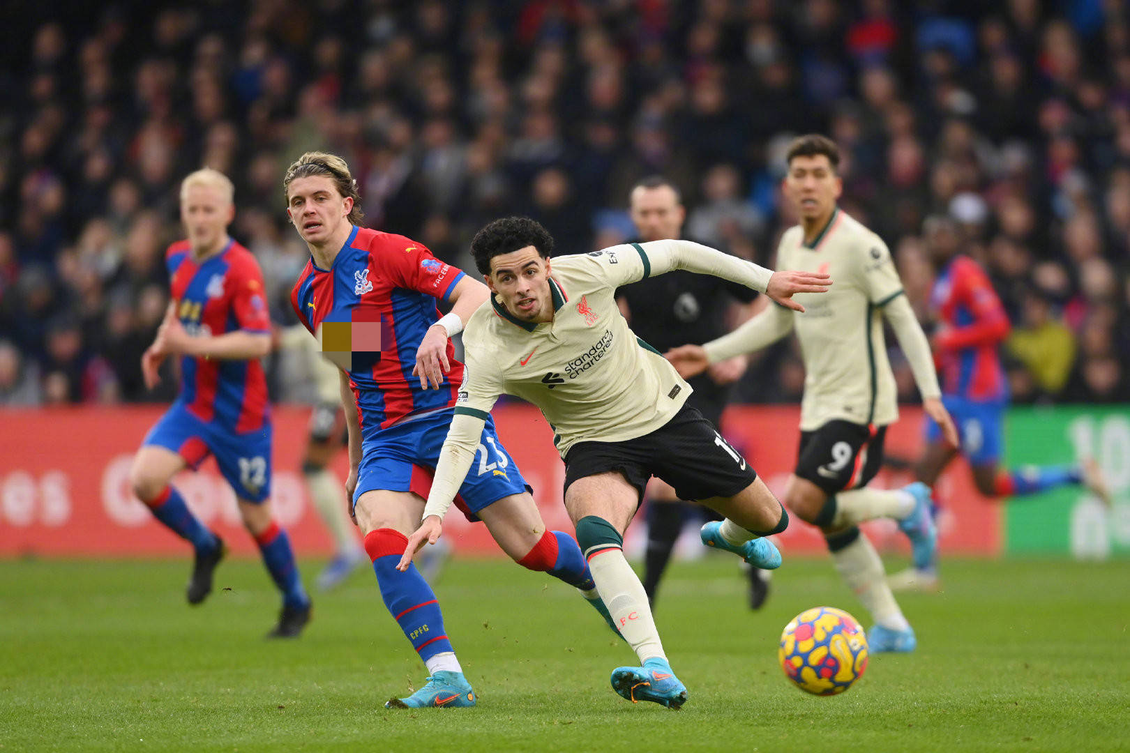 着其他年轻 着其他年轻